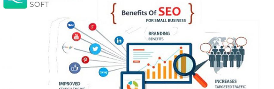 Quirinus Solution Ltd Cover Image