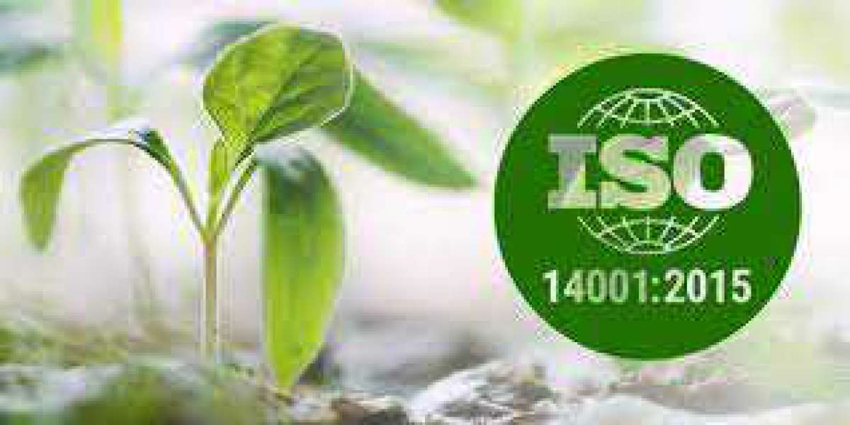 3 key challenges of ISO 14001 implementation in an SME