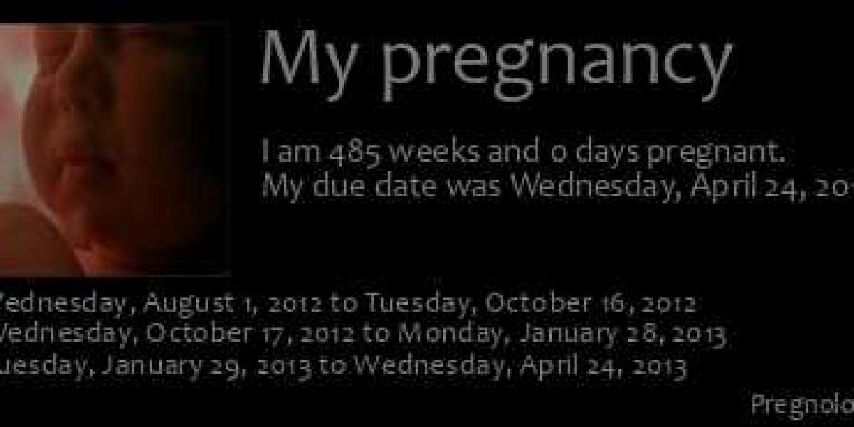 Present Day Pregnancy Pursuit