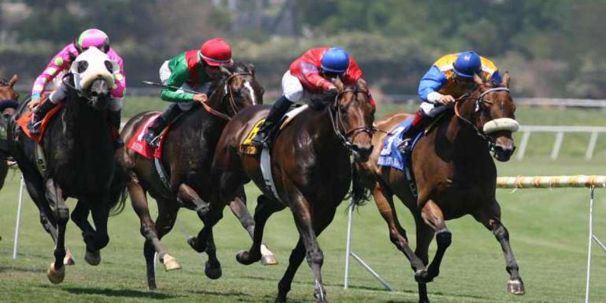 Betting on horse racing online What is horse racing?