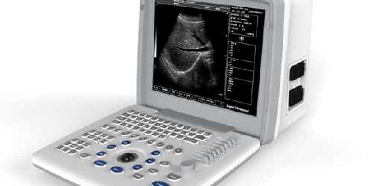 Some suggestions for selecting the most appropriate ultrasound machine for your veterinary practice are provided in the 