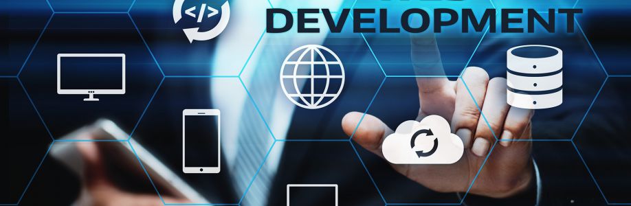 web development services Cover Image