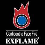 EX Flame Profile Picture