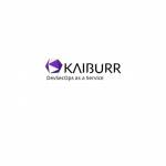 Kaiburr DevSecOps as a Service Profile Picture