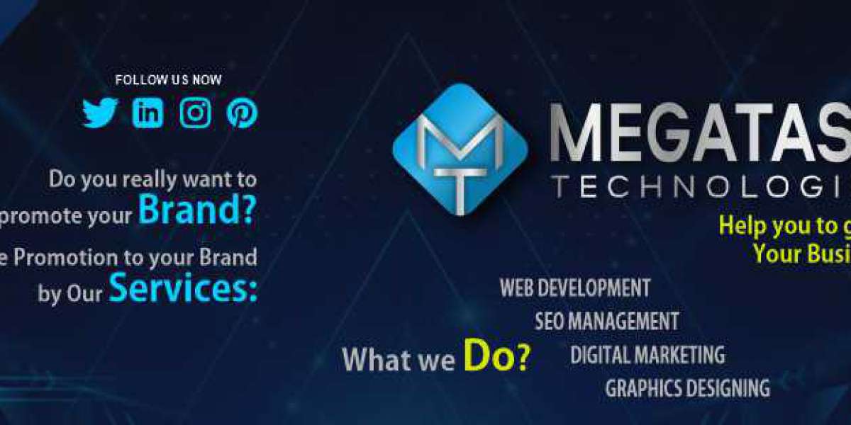 Web Development company in delhi