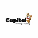 Capital plumbing And Heating Profile Picture