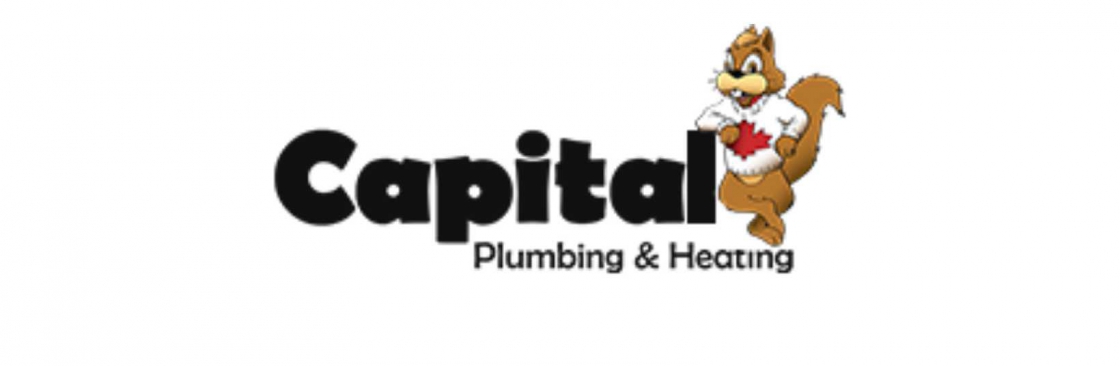 Capital plumbing And Heating Cover Image