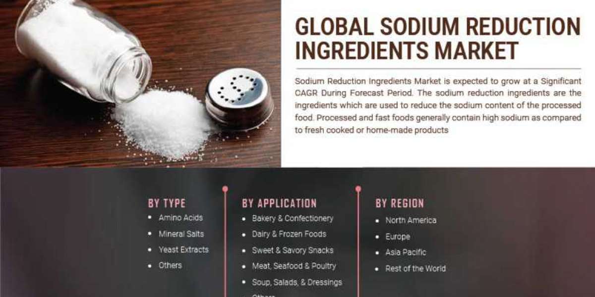 Sodium Reduction Ingredients Market Share Current Trends, SWOT Analysis, Strategies, Industry Challenges, Business Overv