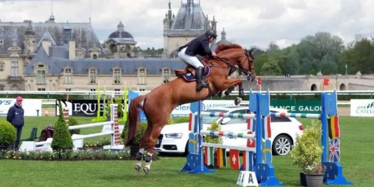 The Most Common Horse Sports