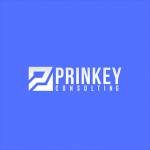 Prinkey Consulting Profile Picture