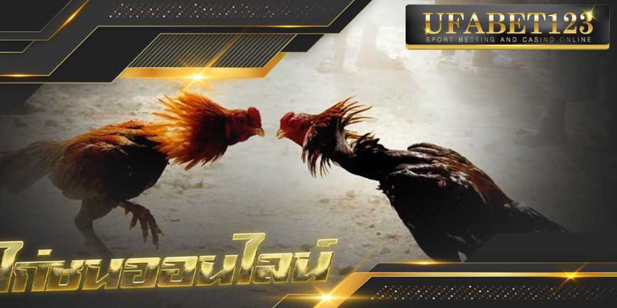 ไก่ชนออนไลน์ ไก่เก่งที่สุดในไทย มีให้เลือกเยอะที่สุด