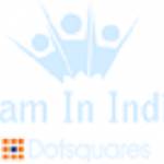 Team In India Profile Picture