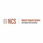 NumericComputerSystems Profile Picture