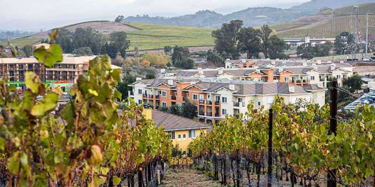 What are the most exciting points of Napa Valley?