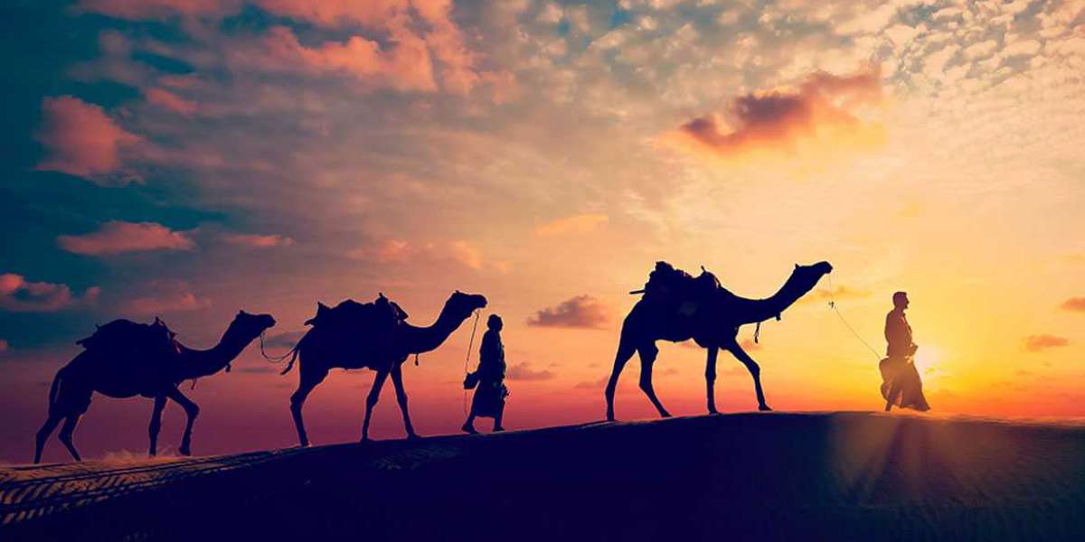 Wildlife Holiday Packages for Rajasthan