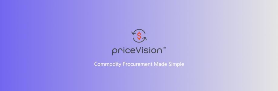 Price Vision Cover Image