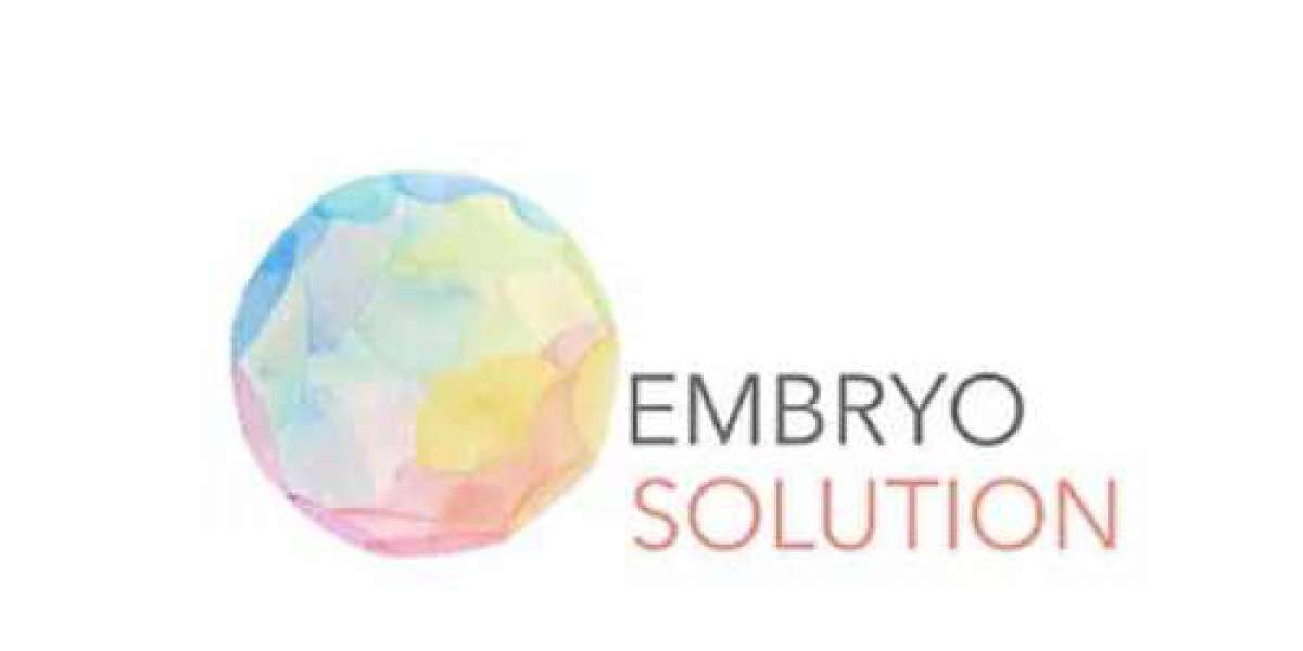 IVF Treatment and Excess Embryos – Possible Options