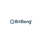 Bit Bang Profile Picture