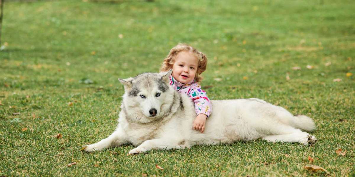Are There Any Pros or Cons of Having Pets When You Have a Baby?