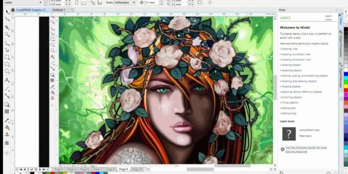 What is included in CorelDRAW graphics suite?