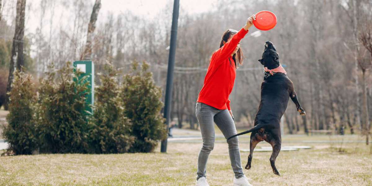 Common Mistakes That People Make When Training Their Dogs