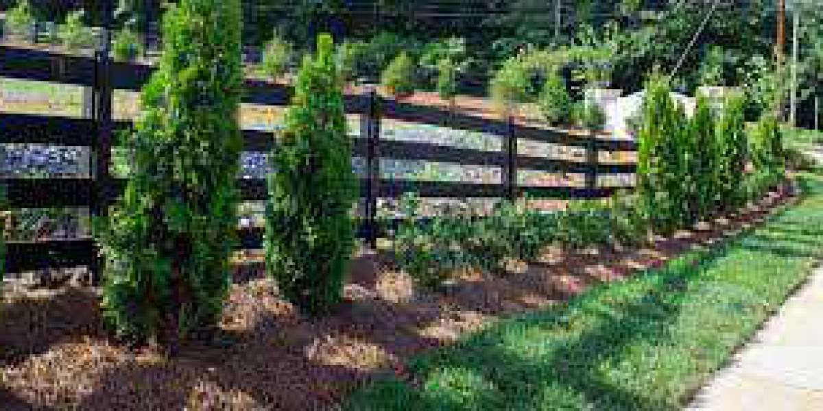 Tips Before You Hire a Commercial Landscapers in Nashville Company