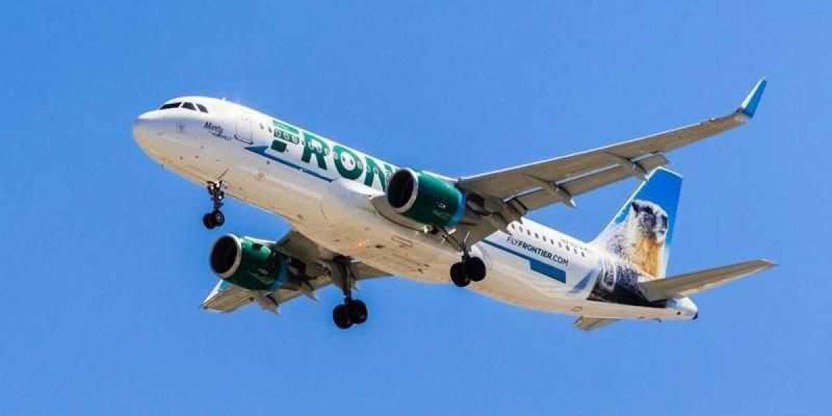 What are the Frontier Airlines Policies for Unaccompanied Minor Booking?