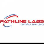 Pathline Lab Profile Picture