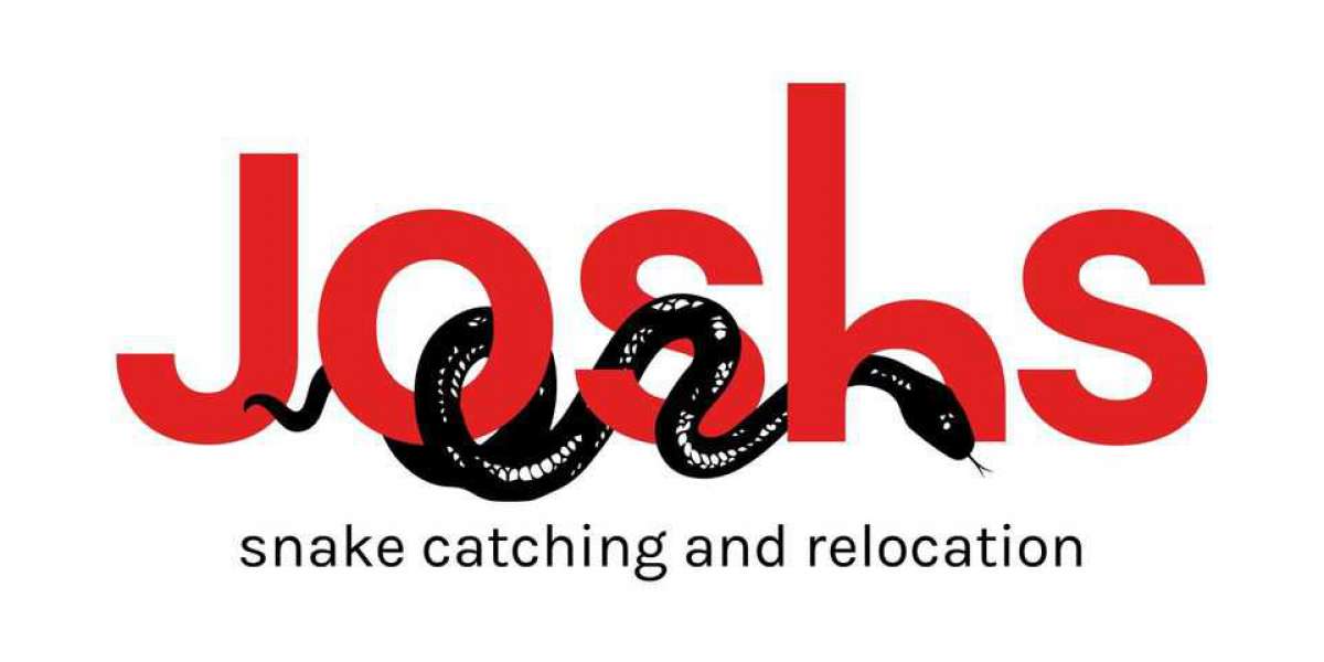 Brisbane Snake Catching and Relocation Services