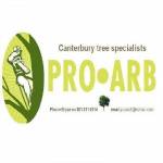 Proarb Canterbury Profile Picture