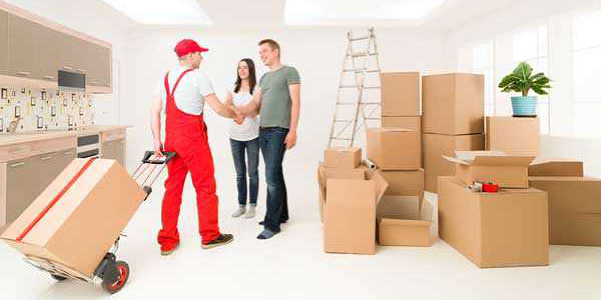 Professional movers and packers - Dubai Truck  Pickup