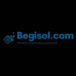Begisol Marketing Agency Profile Picture
