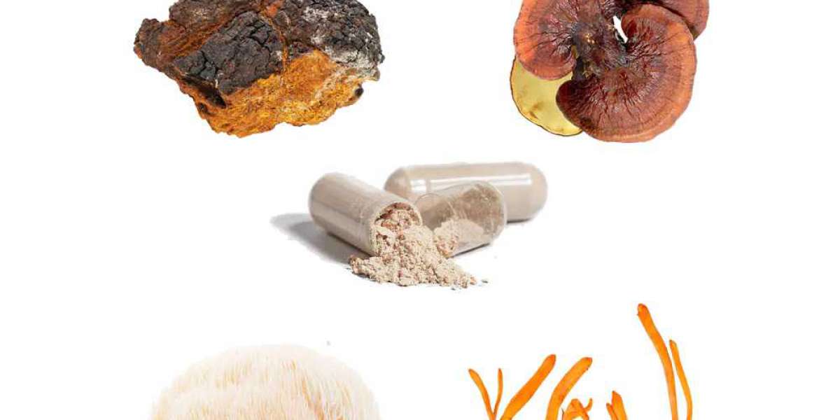 The Best Mushroom Supplements for Sleep and Insomnia?