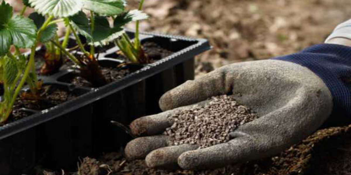 The Benefits Of Using Humic Acid Fertilizer In Your Garden
