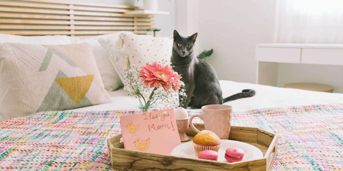 Unique Gifts for the Creative Cat Lover