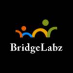 Bridge Bridgelabz Profile Picture