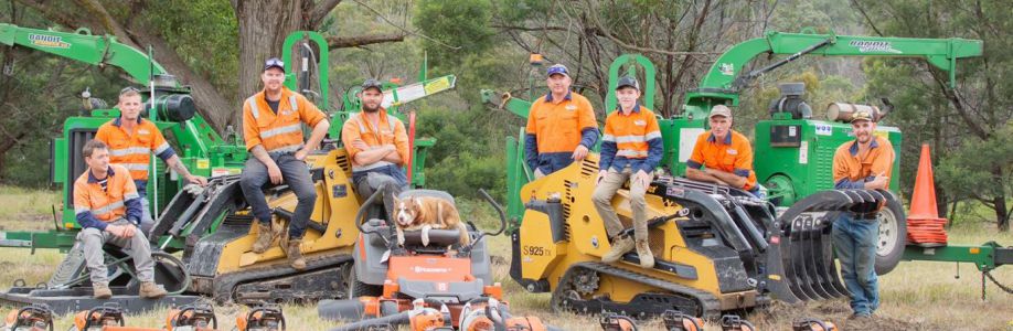 Roots 2 Leaves Tree Services Cover Image