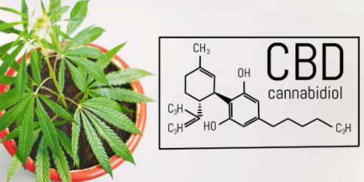 Cannabidiol (CBD) : ce que nous savons et ce que nous ne savons pas