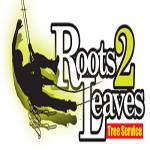 Roots 2 Leaves Tree Services Profile Picture