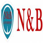 N and B Auto Service profile picture