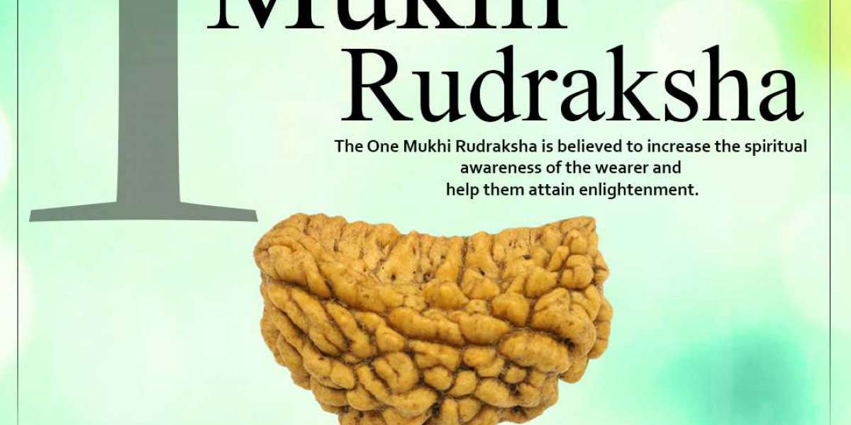 Buy 1 Mukhi Rudraksha online At Genuine Price in India