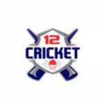 12 Cricket Profile Picture