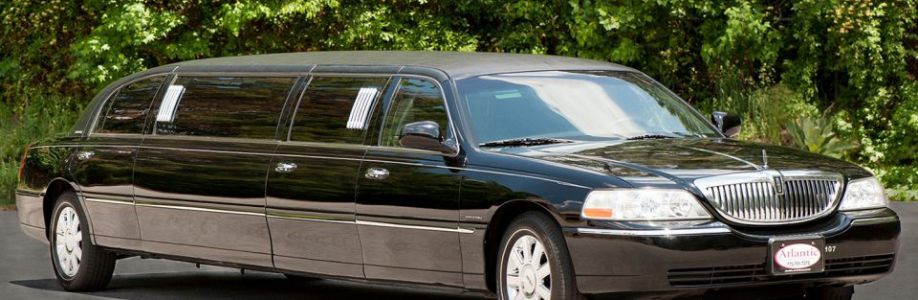 Party Line Limo Cover Image