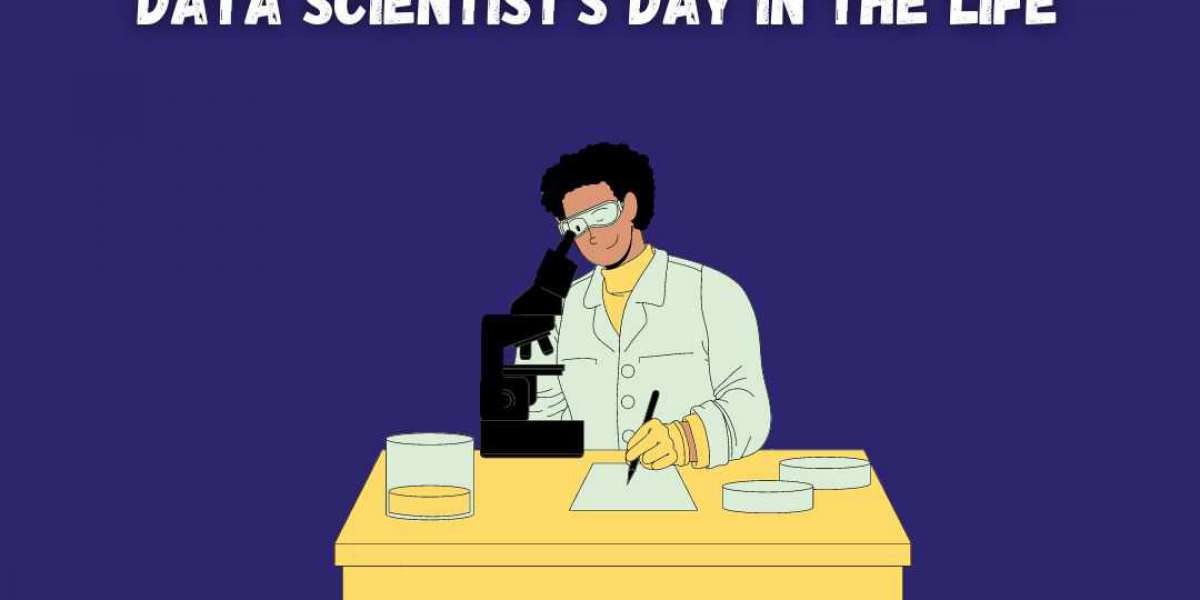 Data Scientist's Day in the Life