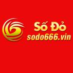 Sodo66 Profile Picture