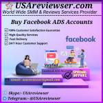 Buy Facebook ADS Account Profile Picture