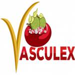 Vasc ulex Profile Picture