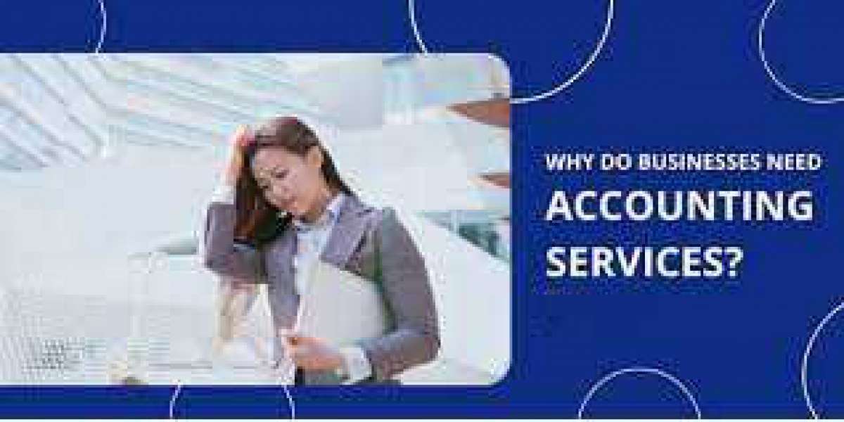 Maximize Your Business's Finances with Professional Accounting Services