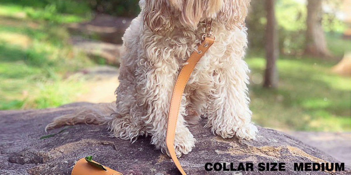 Discover the Opulence of Luxury Dog Collars