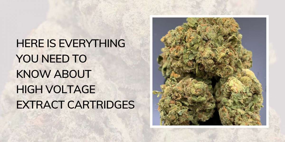 Here is Everything You Need to Know About High Voltage Extract Cartridges